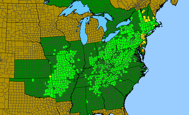 The range of Asclepias quadrifolia